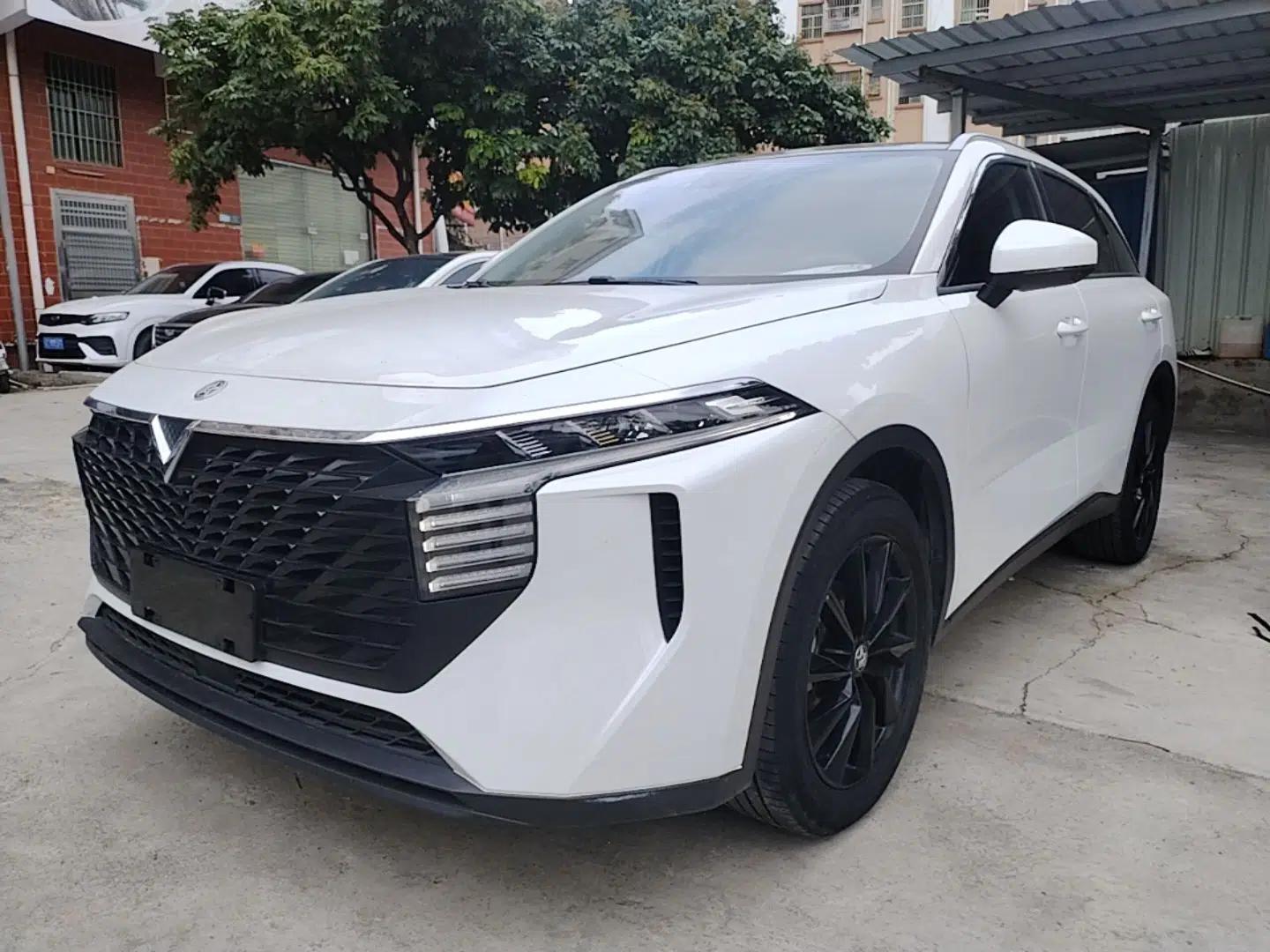 Venucia V 2021 260T Top-Tier Version — миниатюра 1