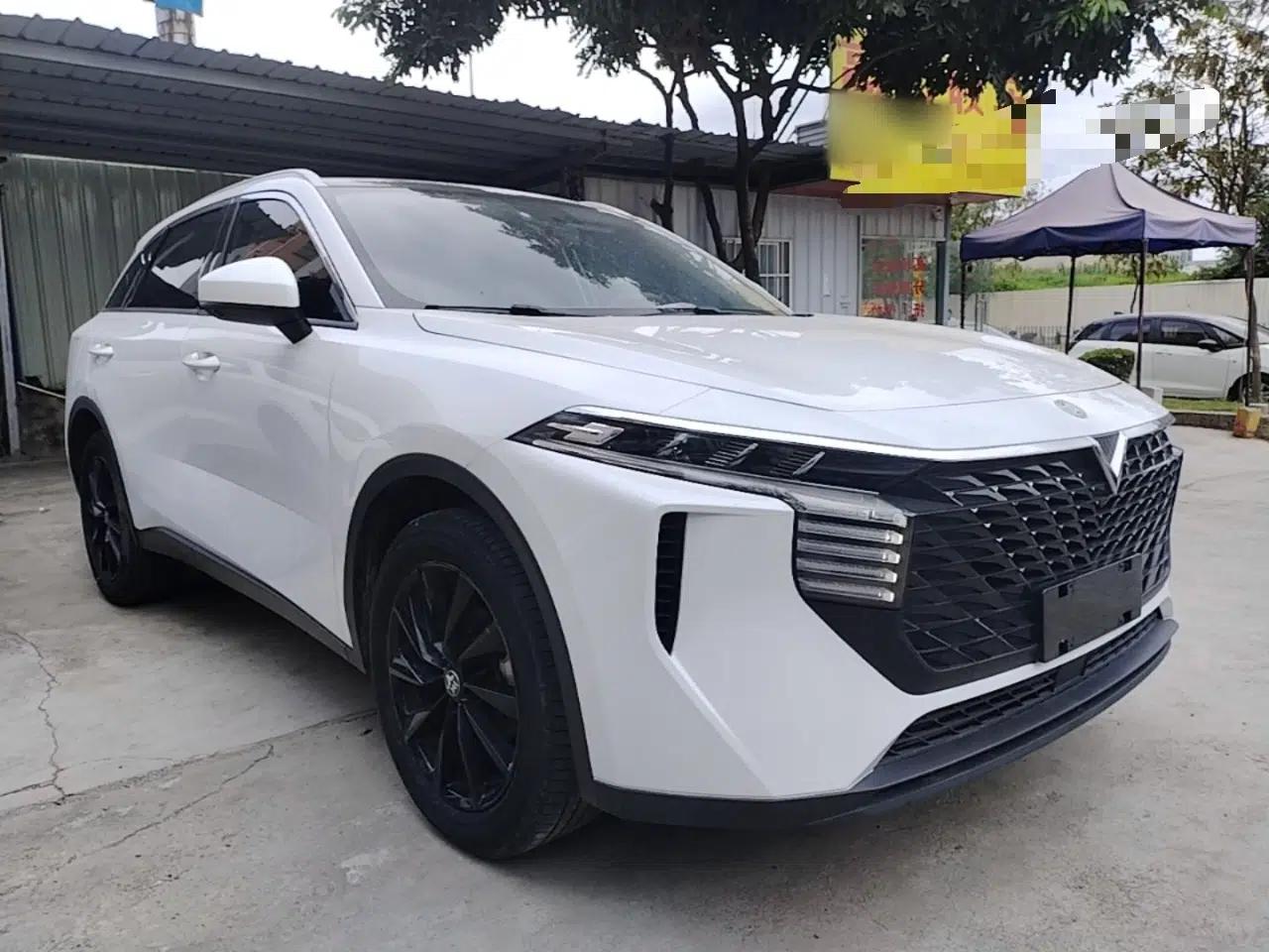 Venucia V 2021 260T Top-Tier Version — миниатюра 6