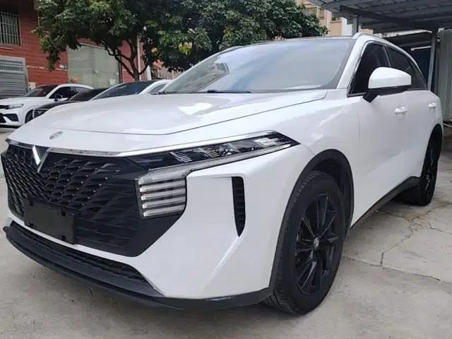 Venucia V 2021 260T Top-Tier Version