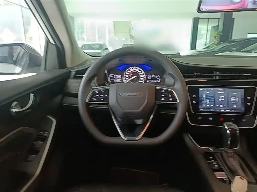 Venucia D60 2021 PLUS 1.6L XL CVT Elite Edition — миниатюра 11