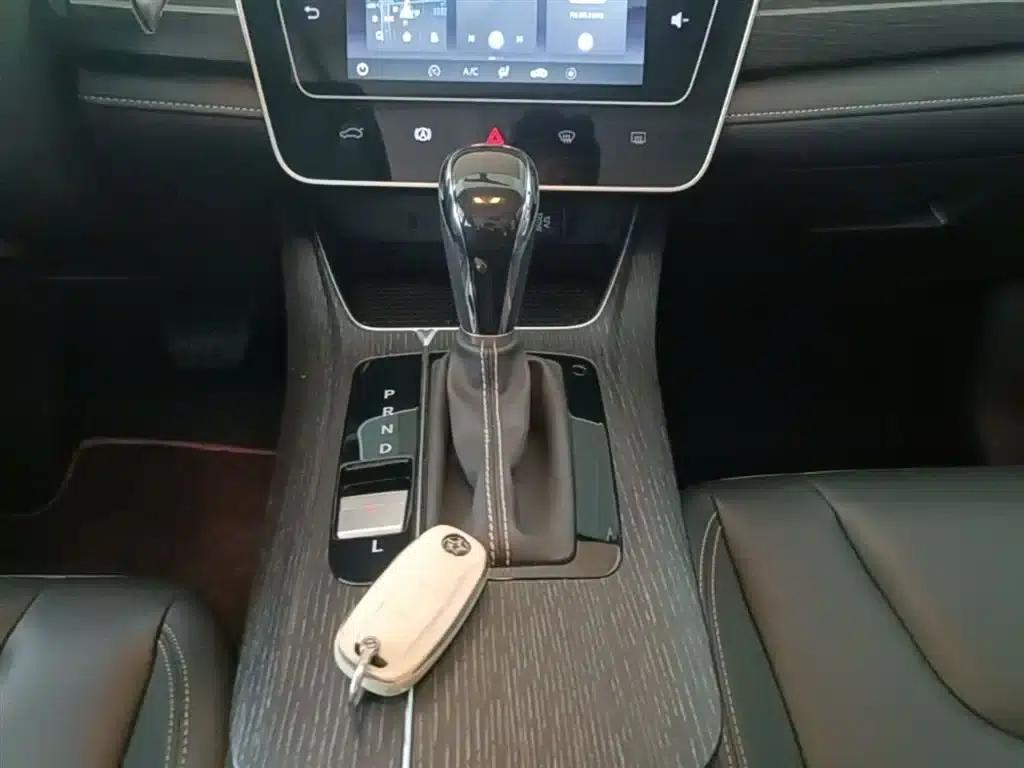 Venucia D60 2021 PLUS 1.6L XL CVT Elite Edition — миниатюра 14