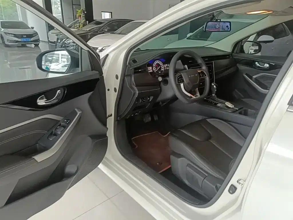 Venucia D60 2021 PLUS 1.6L XL CVT Elite Edition — миниатюра 16
