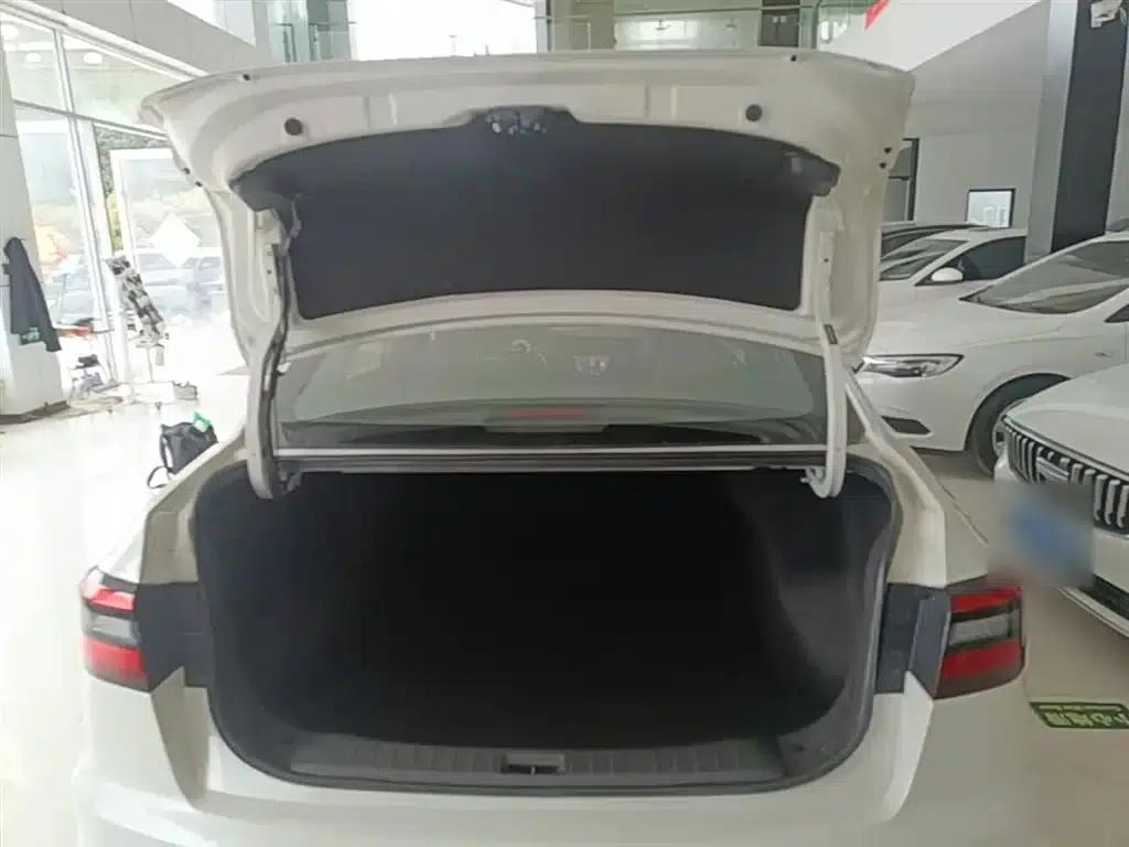 Venucia D60 2021 PLUS 1.6L XL CVT Elite Edition — миниатюра 19