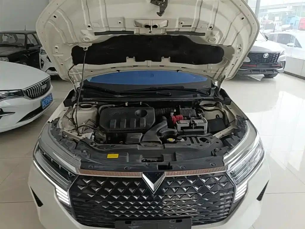 Venucia D60 2021 PLUS 1.6L XL CVT Elite Edition — миниатюра 20