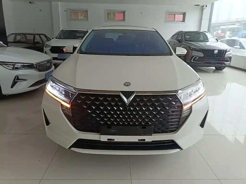 Venucia D60 2021 PLUS 1.6L XL CVT Elite Edition — миниатюра 3