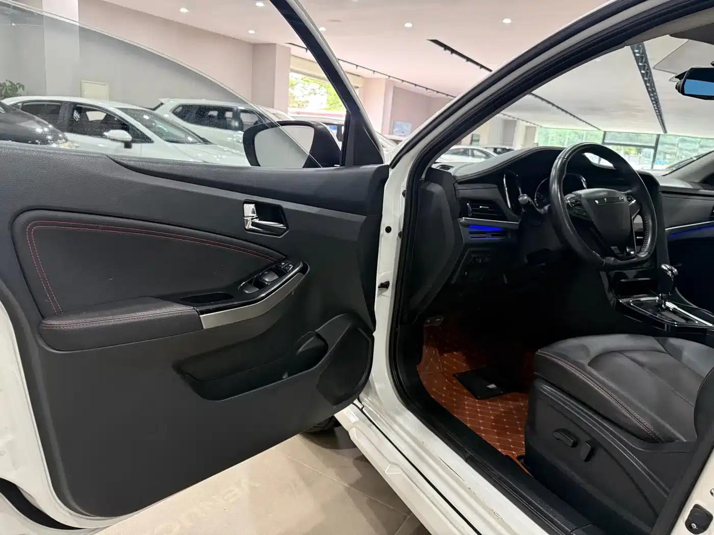 Venucia T70 2019 2.0L CVT Smart Edition (National VI Emission Standard) — миниатюра 4