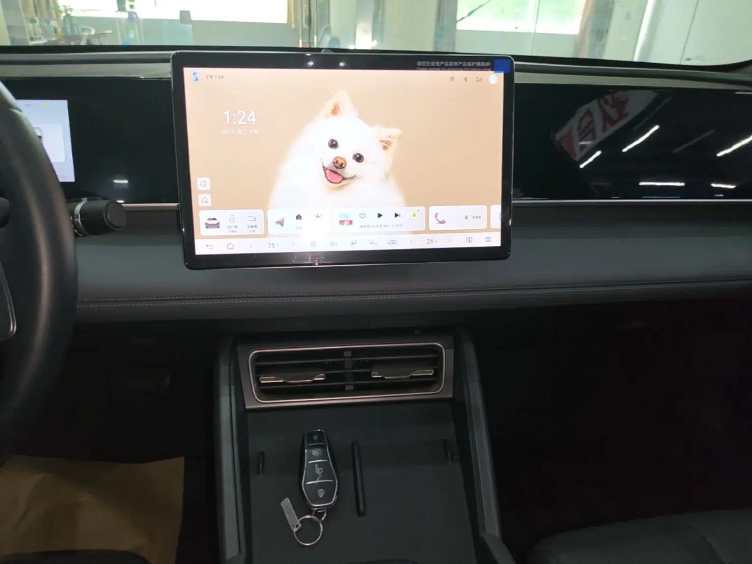 BYD Qin L 2025 DM-i Smart Drive 80KM Leading Model — миниатюра 15