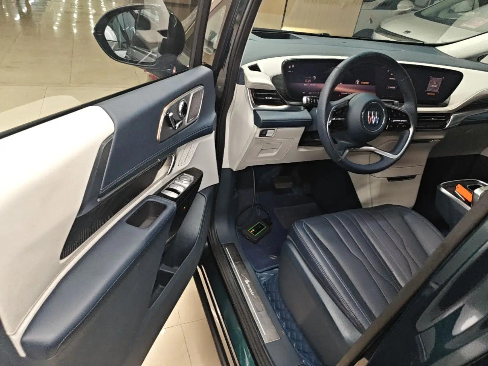 Buick Century 2023 2.0T Four-Seat Private Edition — миниатюра 19
