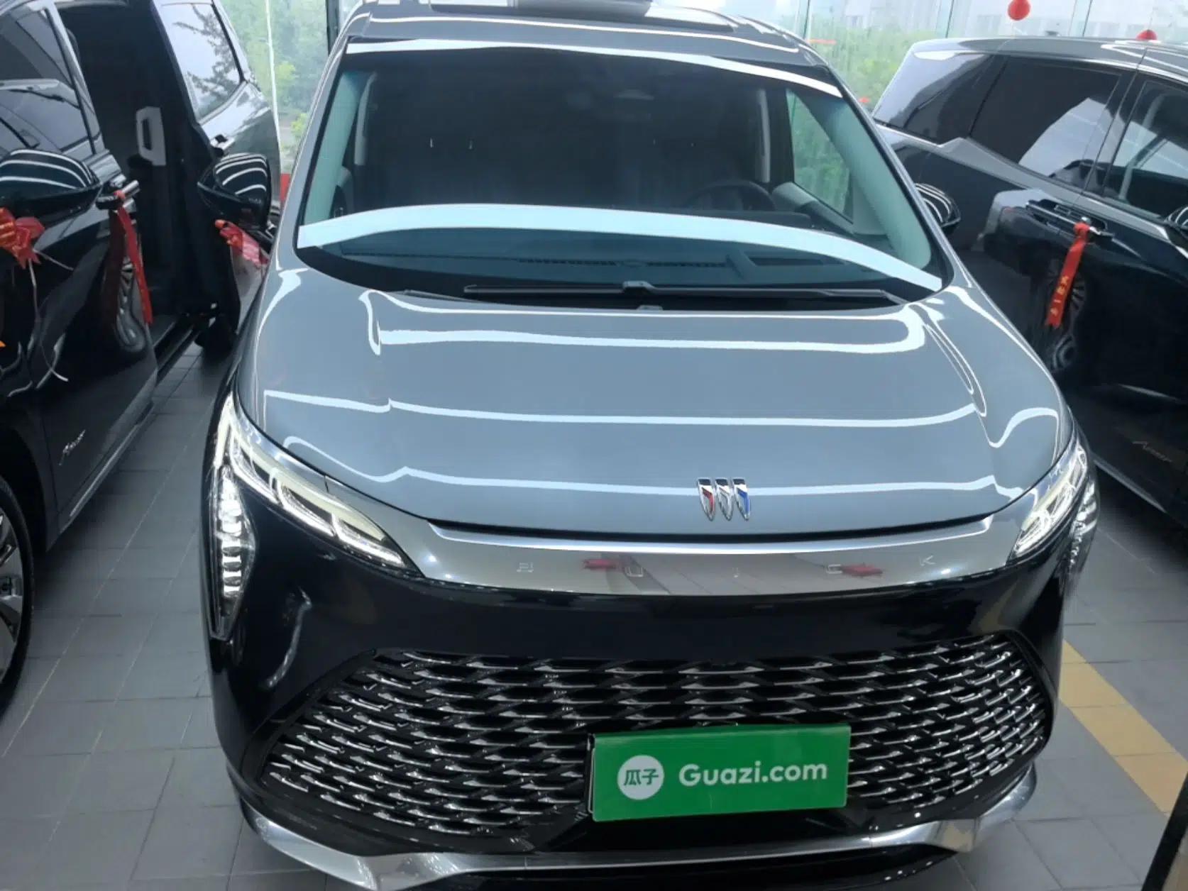 Buick Century 2023 2.0T Four-Seat Private Edition — миниатюра 2