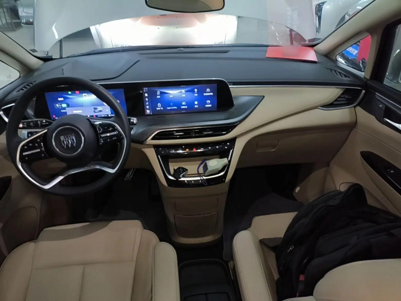 Buick GL8 New Energy 2025 Lu Shang Luxury Edition 7-Seater — миниатюра 13