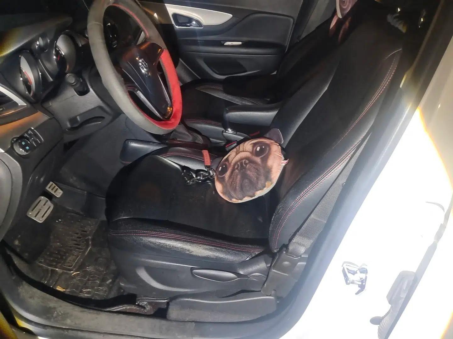 Buick Encore 2014 1.4T Automatic Two-Wheel Drive Urban Elite Model — миниатюра 16