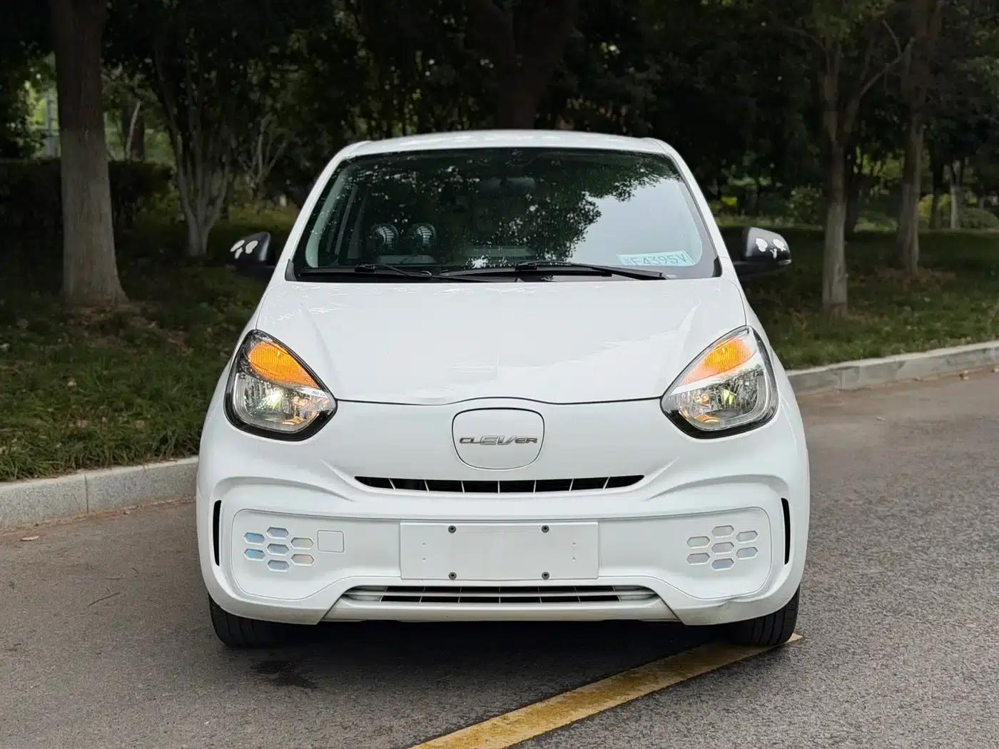 CLEVER 2022 Model 311km Energy Bobo Edition — миниатюра 4