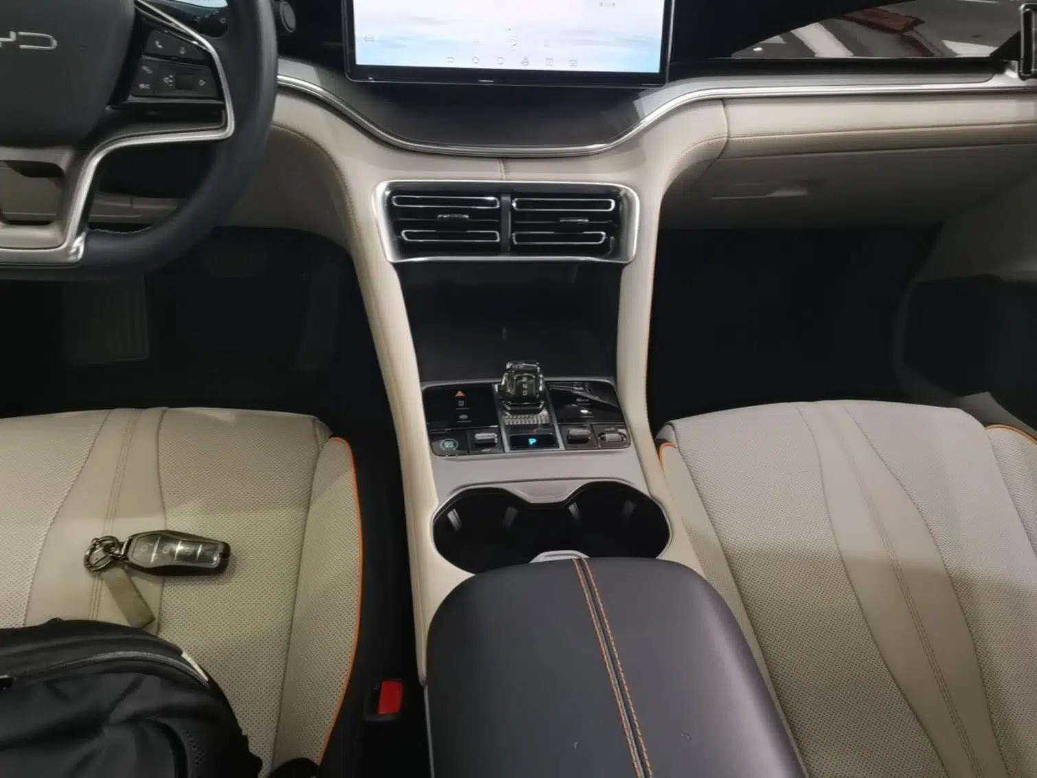 BYD Song PLUS New Energy 2023 Champion Edition DM-i 110KM Flagship PLUS — миниатюра 17