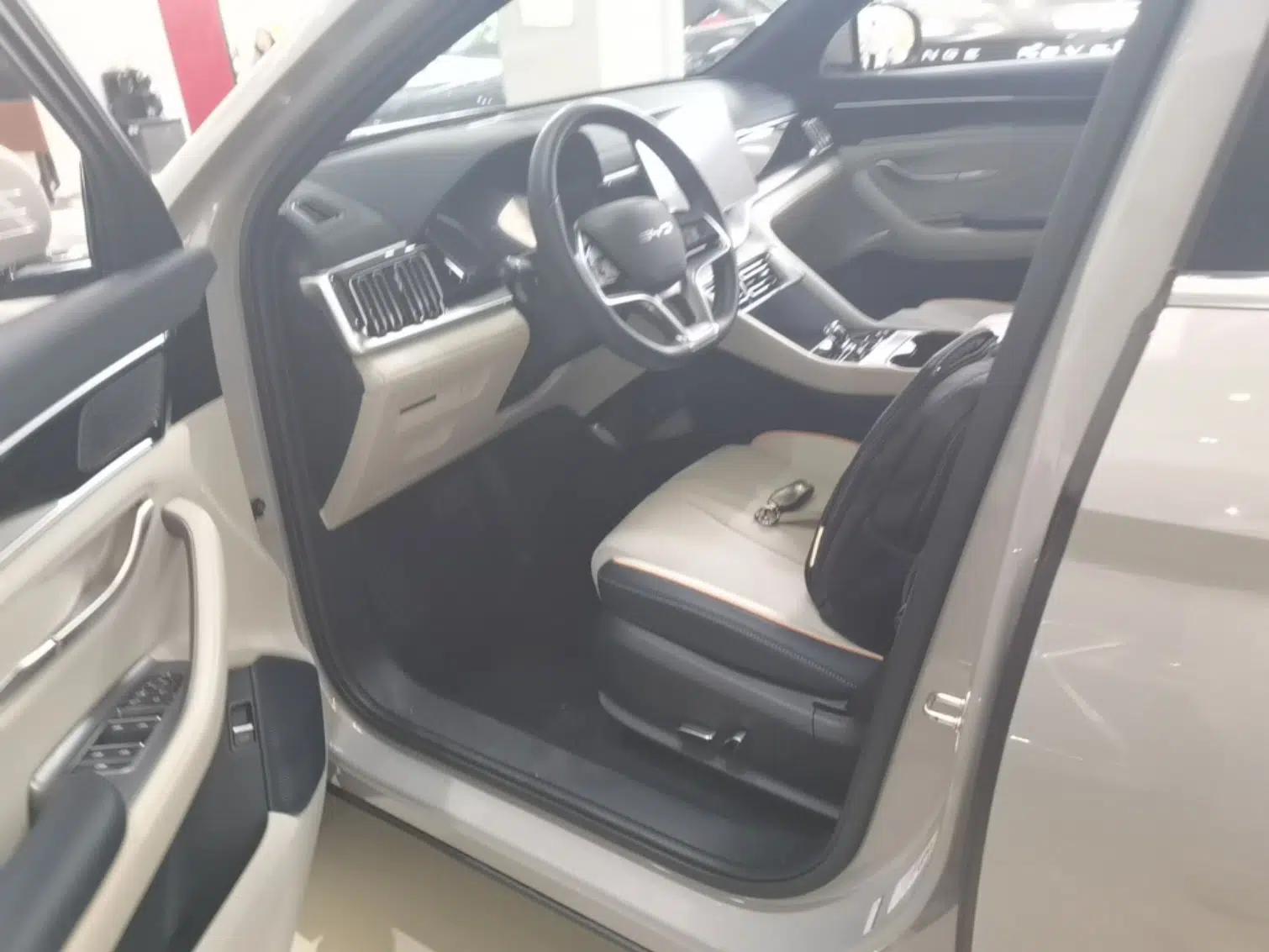 BYD Song PLUS New Energy 2023 Champion Edition DM-i 110KM Flagship PLUS — миниатюра 18