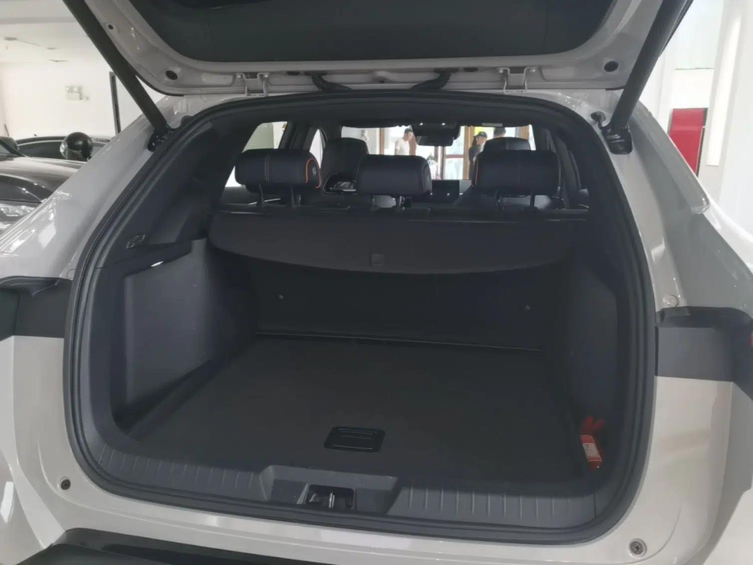 BYD Song PLUS New Energy 2023 Champion Edition DM-i 110KM Flagship PLUS — миниатюра 22