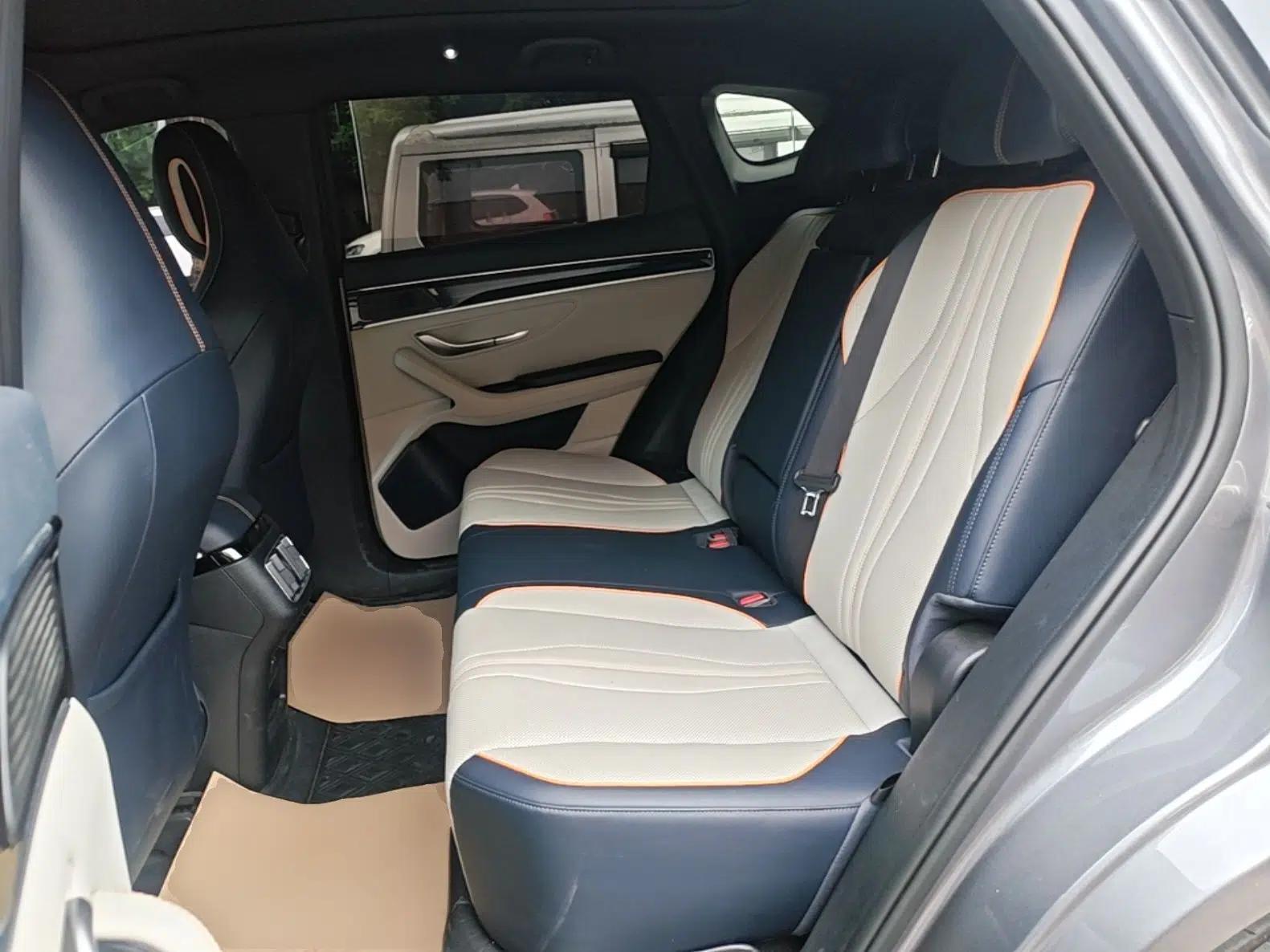 BYD Song PLUS New Energy 2021 DM-i 110KM Flagship PLUS — миниатюра 19