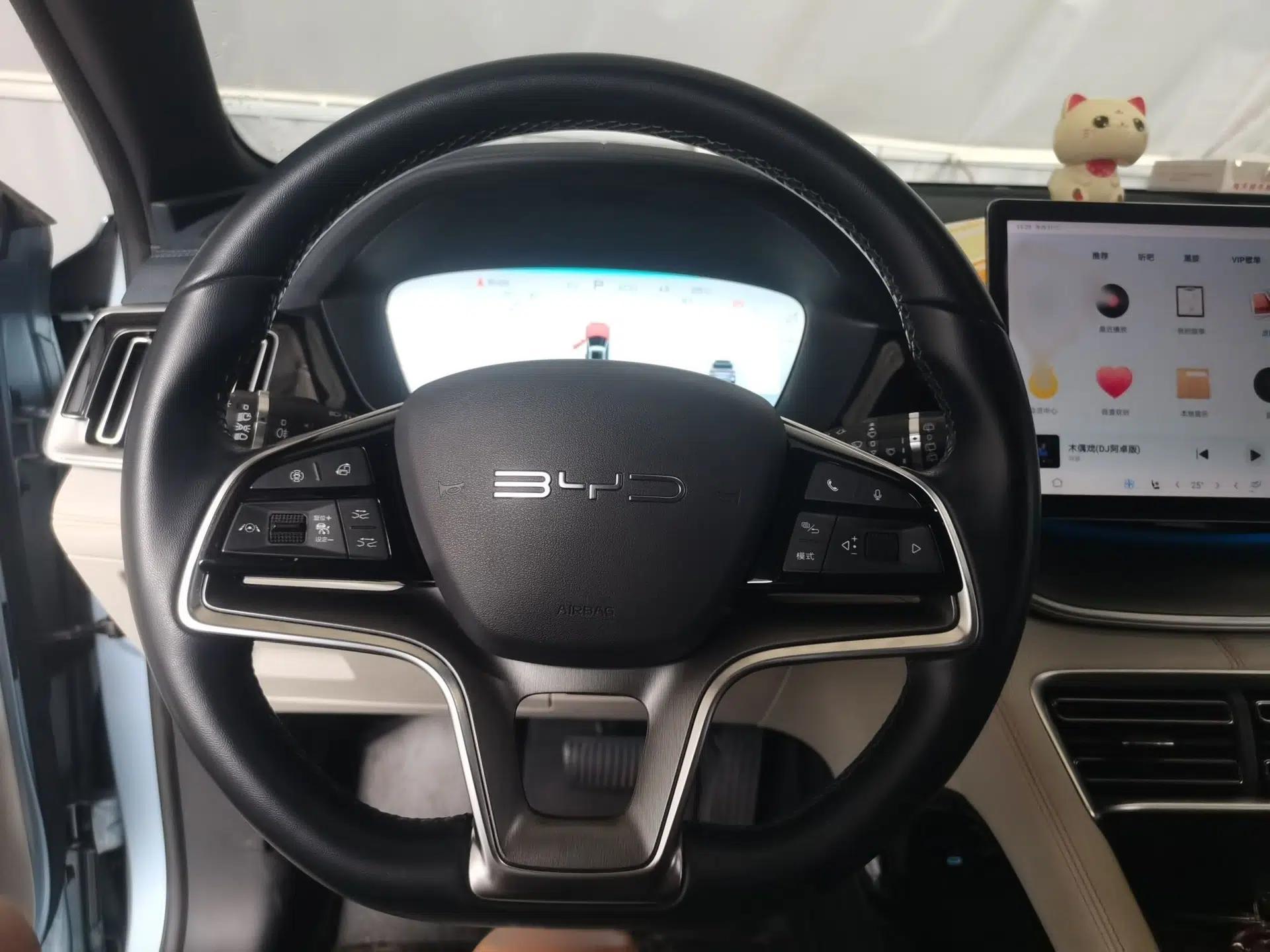 BYD Song PLUS New Energy 2023 Champion Edition DM-i 150KM Flagship PLUS — миниатюра 12
