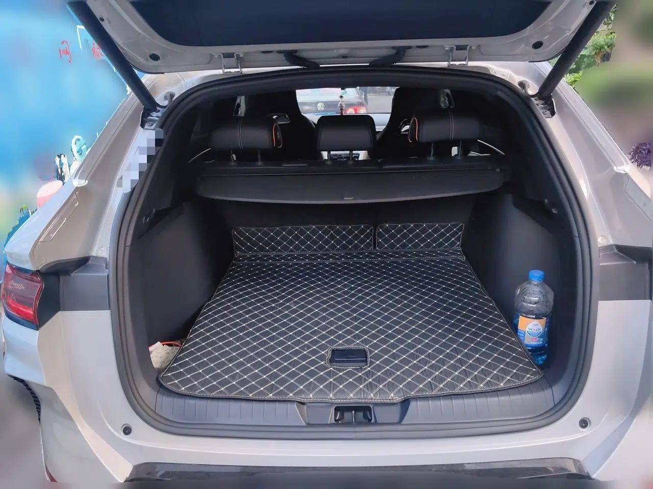 BYD Song PLUS New Energy 2023 Champion Edition DM-i 110KM Flagship Model — миниатюра 20