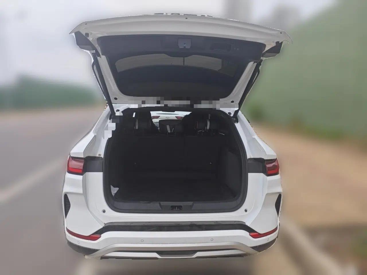 BYD Song PLUS New Energy 2024 HONOR Edition DM-i 150km Flagship PLUS — миниатюра 20
