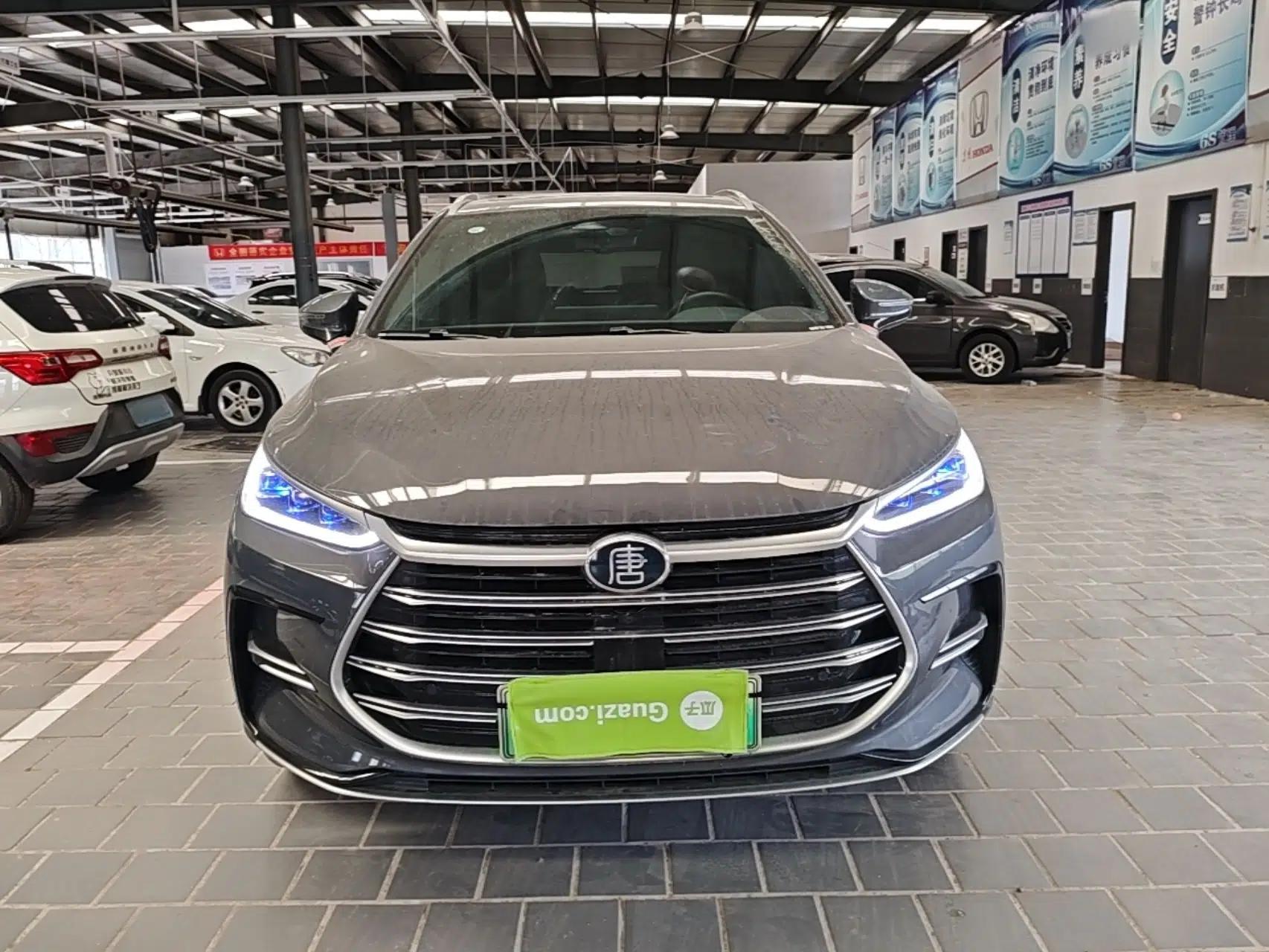 BYD Tang New Energy 2023 DM-i Champion Edition 112KM Prestige Model — миниатюра 2