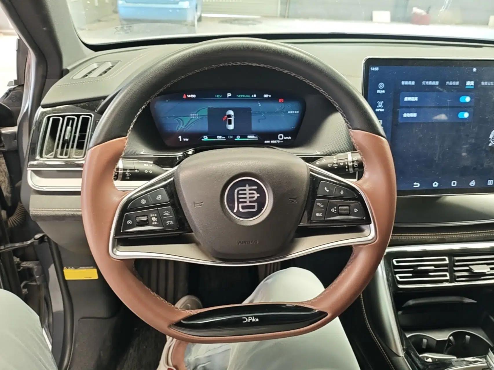 BYD Tang New Energy 2023 DM-i Champion Edition 112KM Prestige Model — миниатюра 13