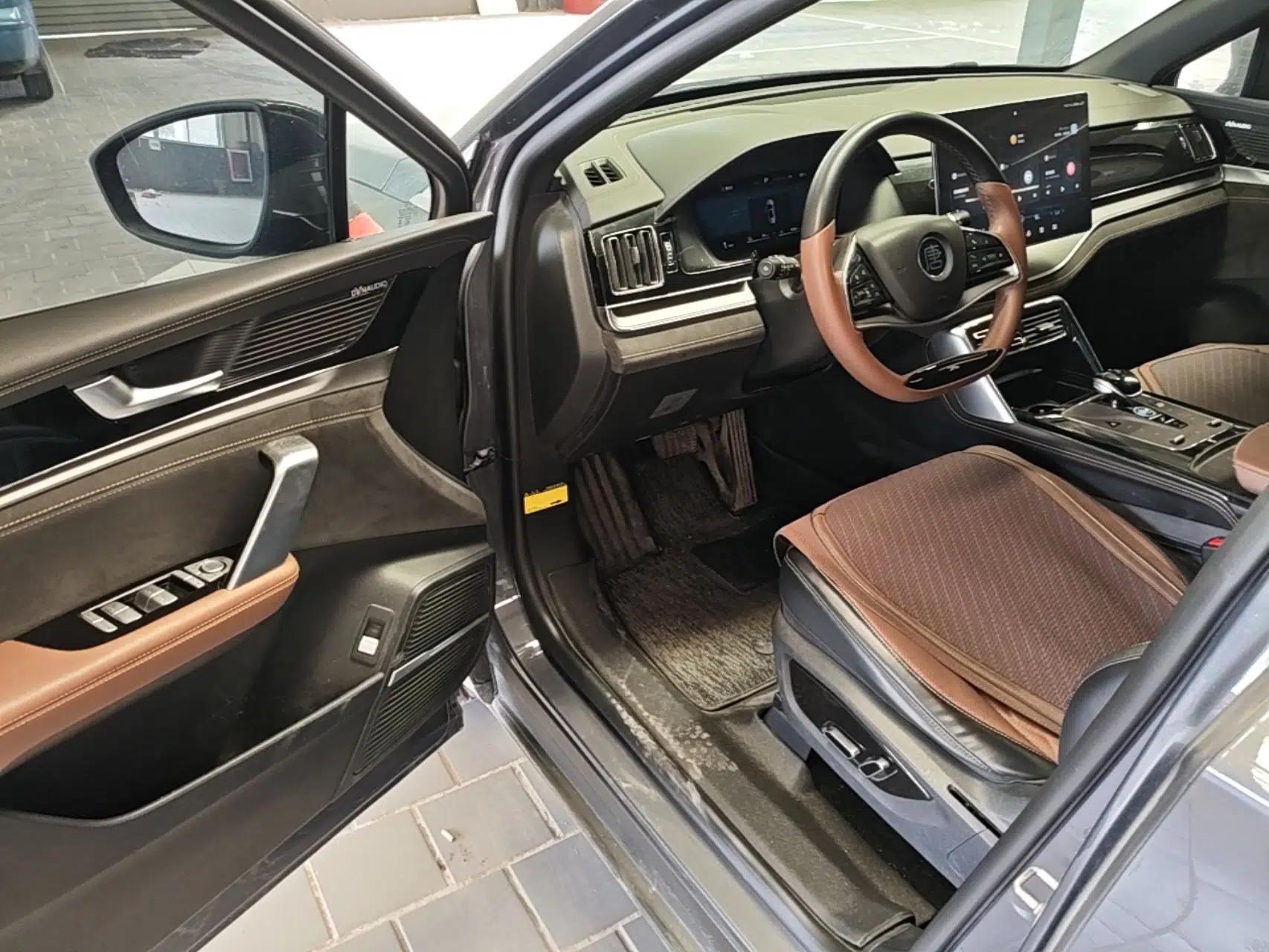 BYD Tang New Energy 2023 DM-i Champion Edition 112KM Prestige Model — миниатюра 18