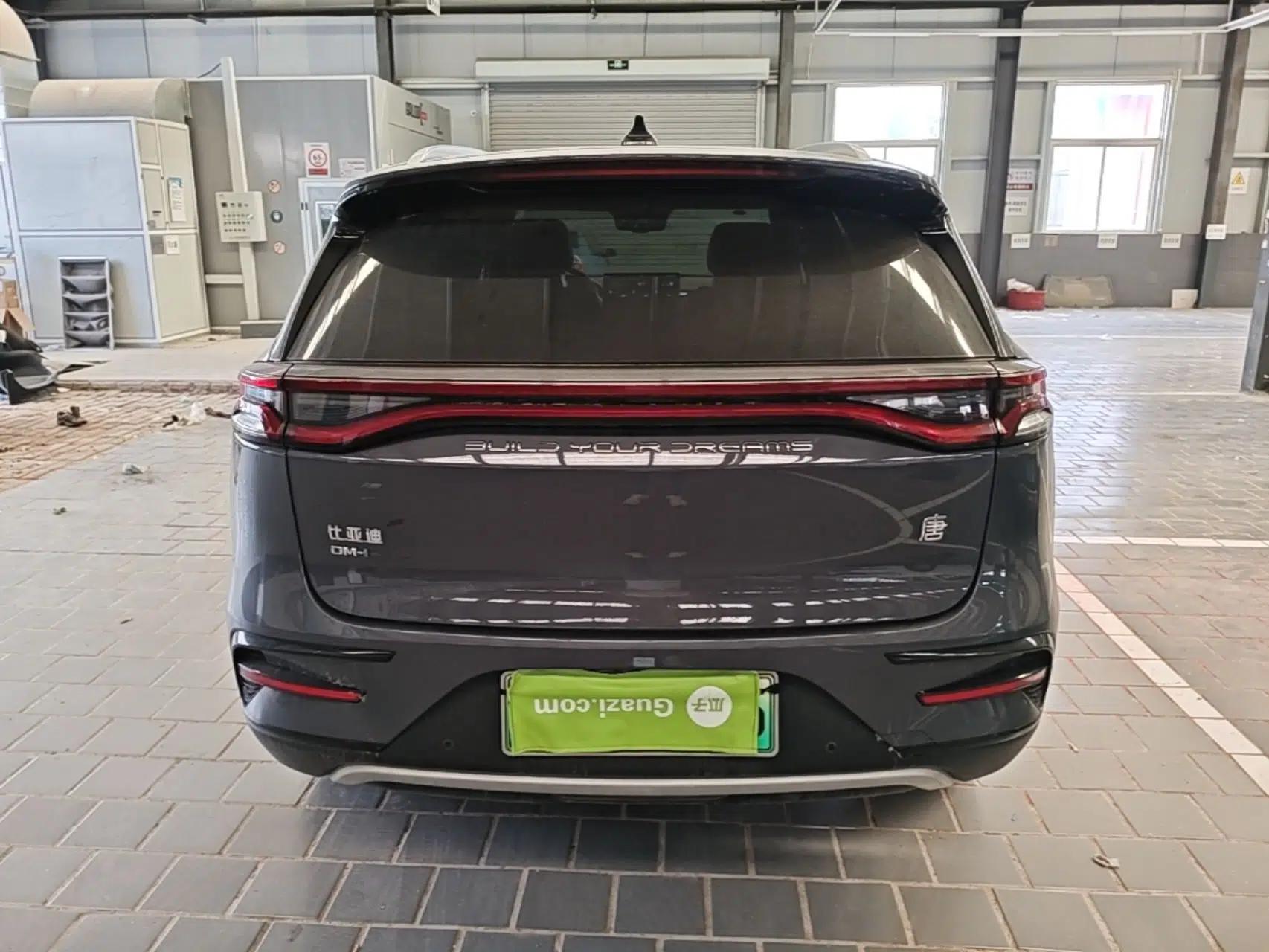 BYD Tang New Energy 2023 DM-i Champion Edition 112KM Prestige Model — миниатюра 3