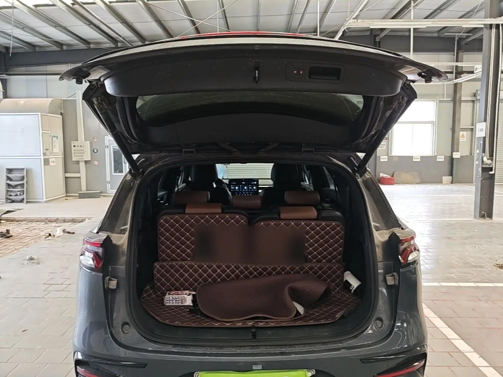 BYD Tang New Energy 2023 DM-i Champion Edition 112KM Prestige Model — миниатюра 21