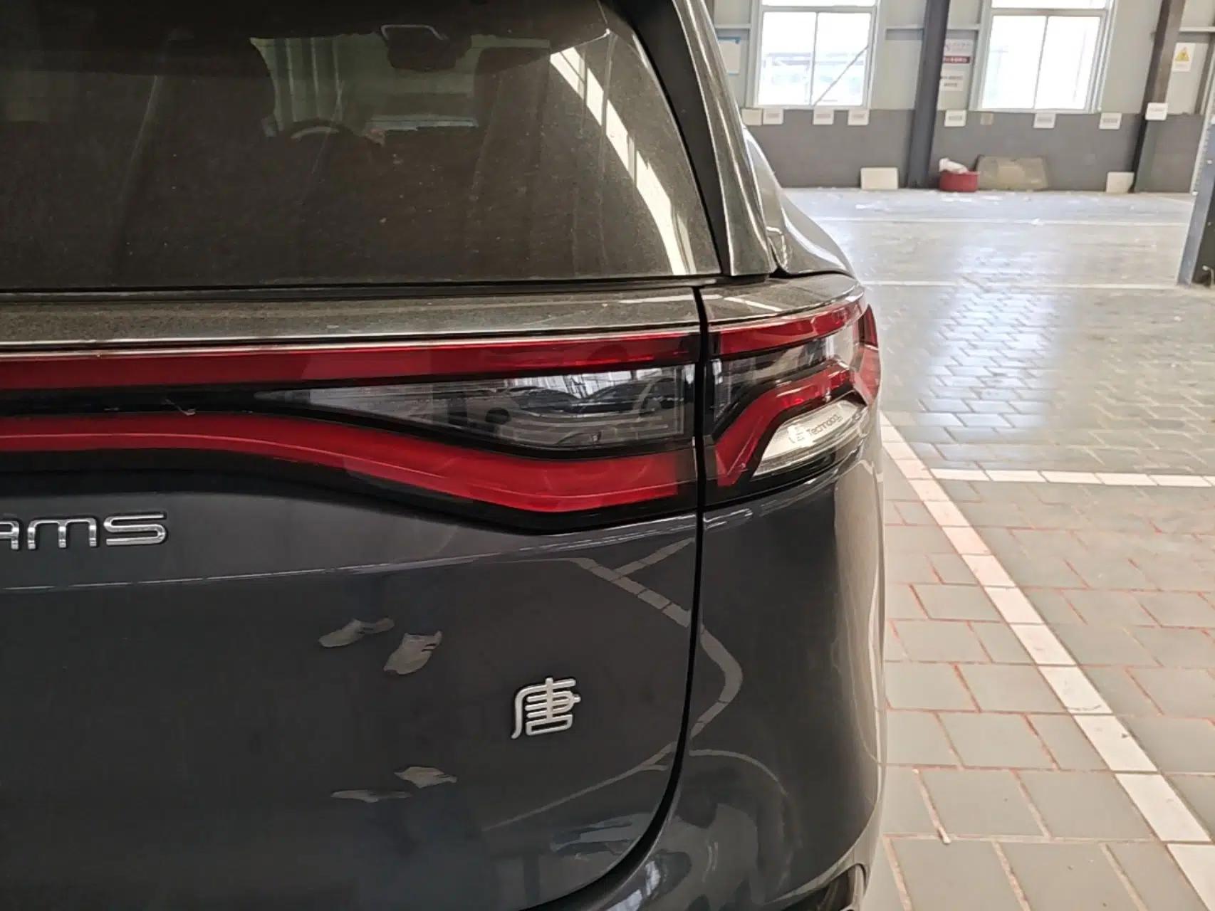 BYD Tang New Energy 2023 DM-i Champion Edition 112KM Prestige Model — миниатюра 8
