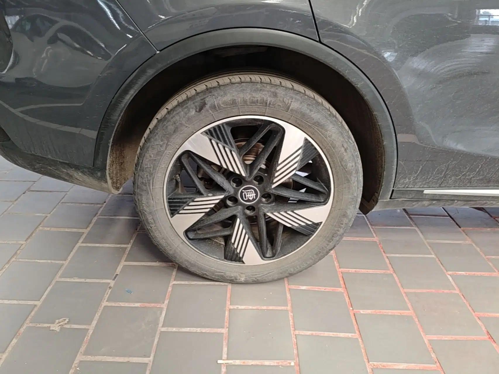BYD Tang New Energy 2023 DM-i Champion Edition 112KM Prestige Model — миниатюра 10