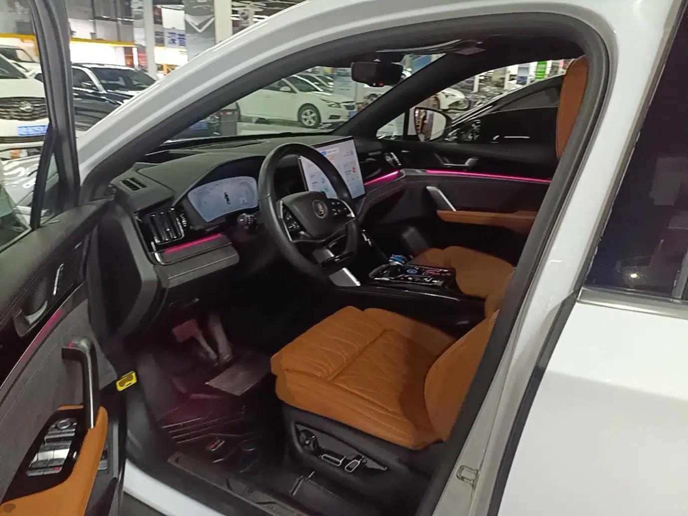 BYD Tang New Energy 2022 EV 730KM Luxury Model — миниатюра 19