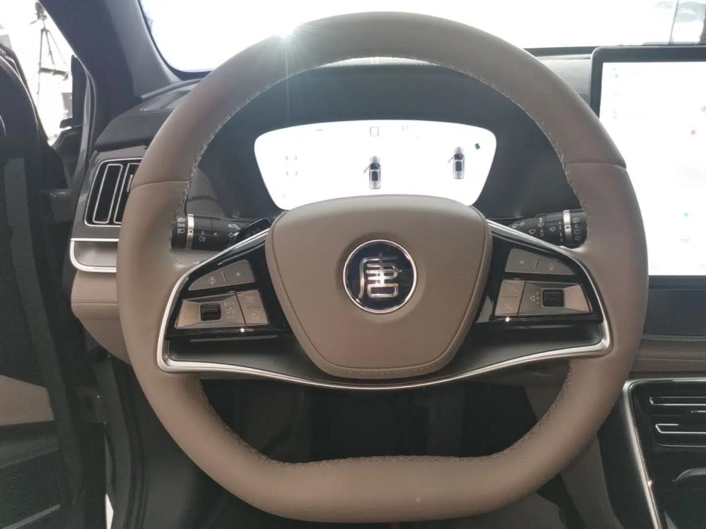 BYD Tang New Energy 2025 Intelligent Driving Version DM-i 115KM Flagship Edition — миниатюра 14