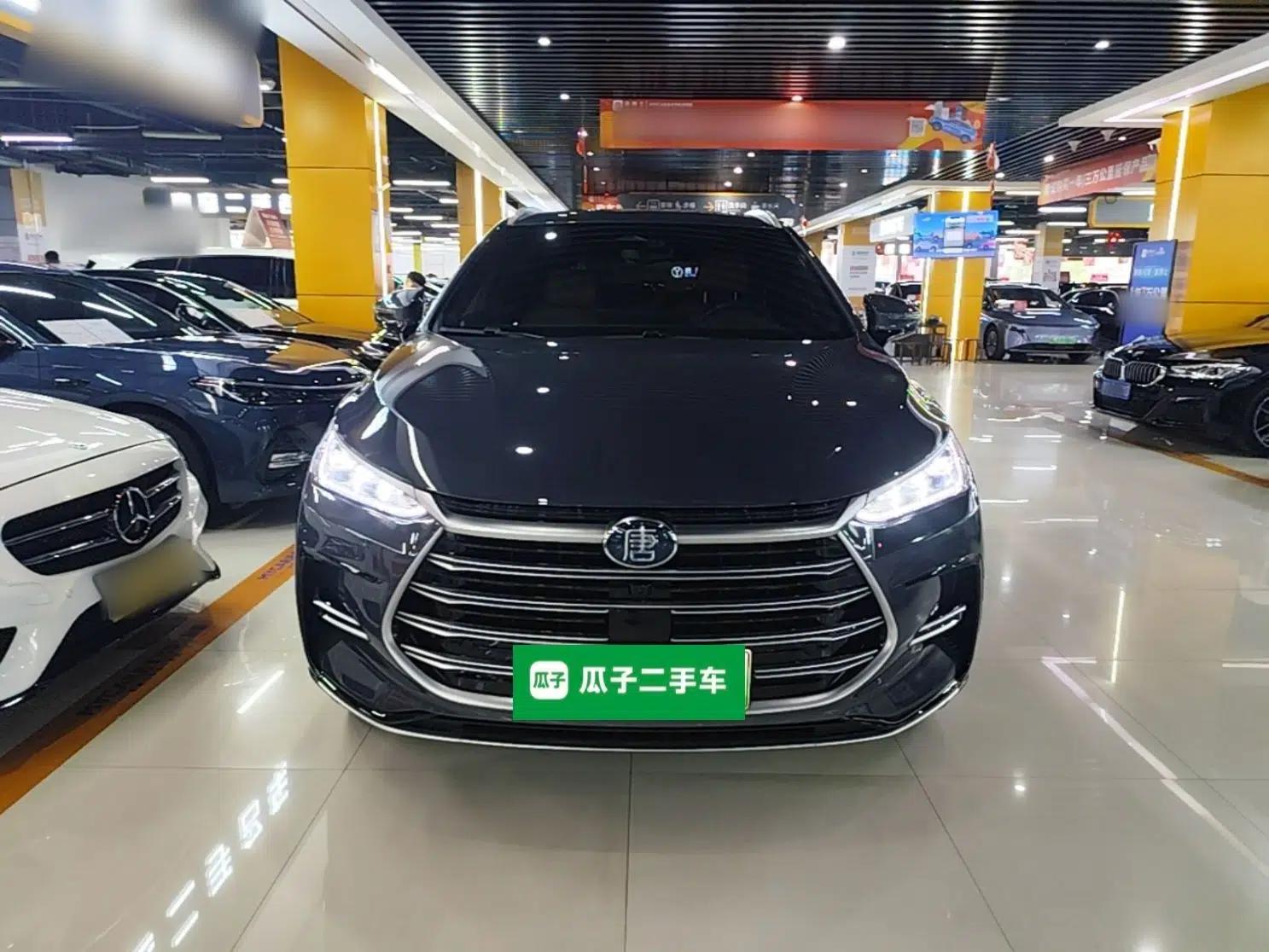 BYD Tang New Energy 2023 DM-i Champion Edition 112KM Prestige Model — миниатюра 2