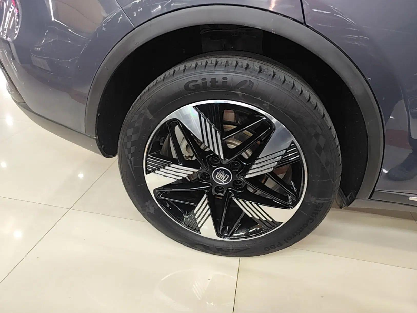 BYD Tang New Energy 2023 DM-i Champion Edition 112KM Prestige Model — миниатюра 10