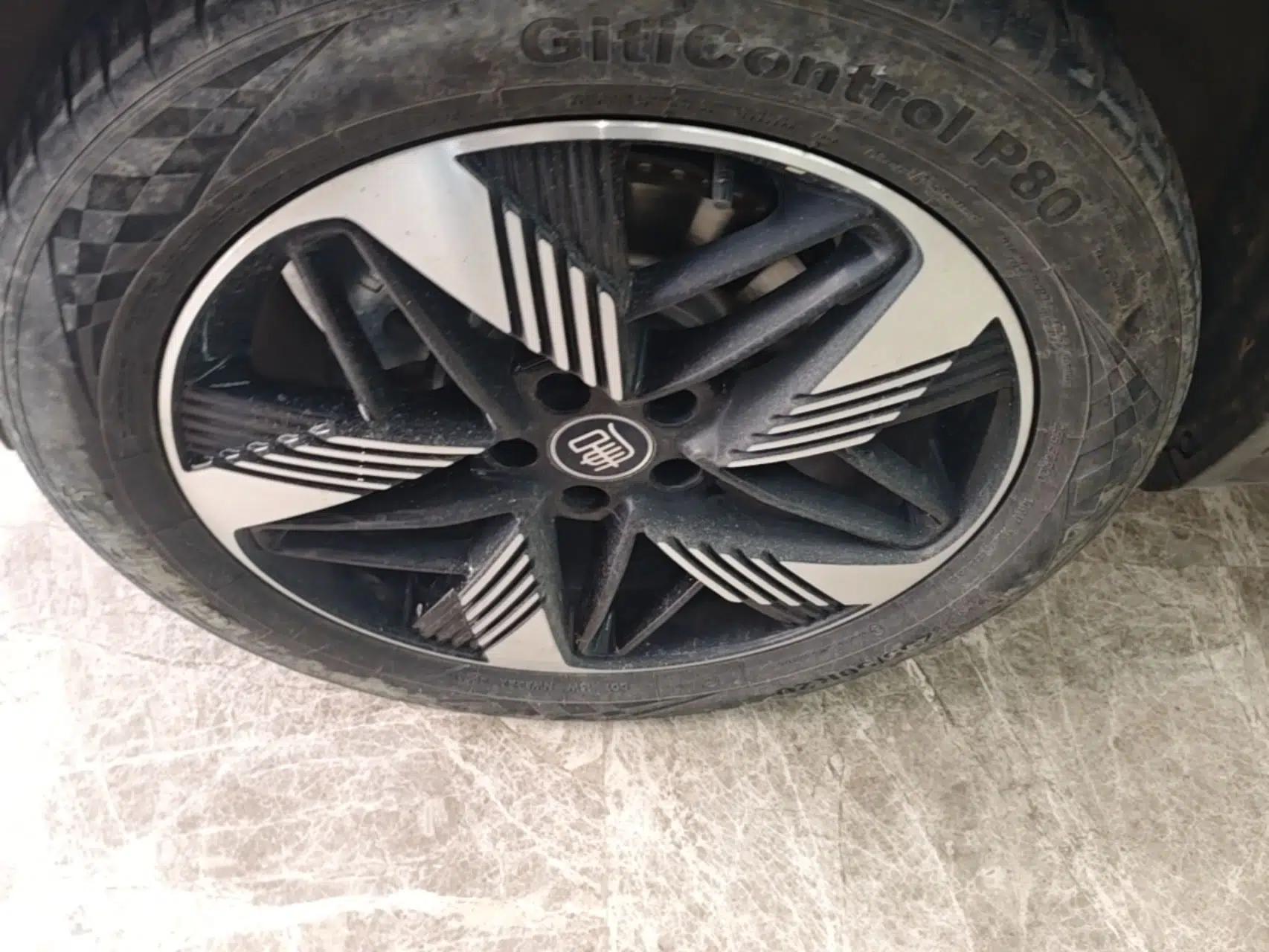 BYD Tang New Energy 2024 DM-i Glory Edition 112KM Prestige Model — миниатюра 8