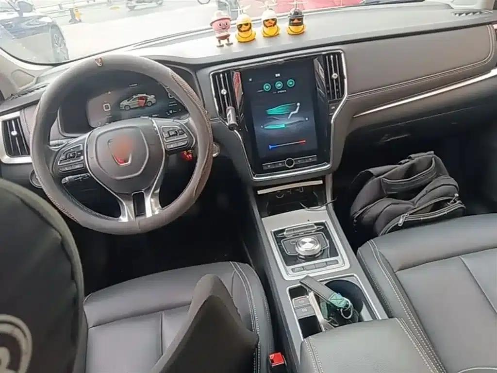 Roewe i6 New Energy 2019 PLUS 50T Internet Glory Flagship Edition — миниатюра 10