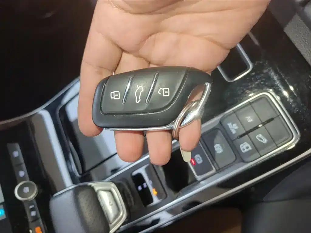 Roewe RX5 eMAX 2020 500PHEV 4G Connected Luxury Edition — миниатюра 9