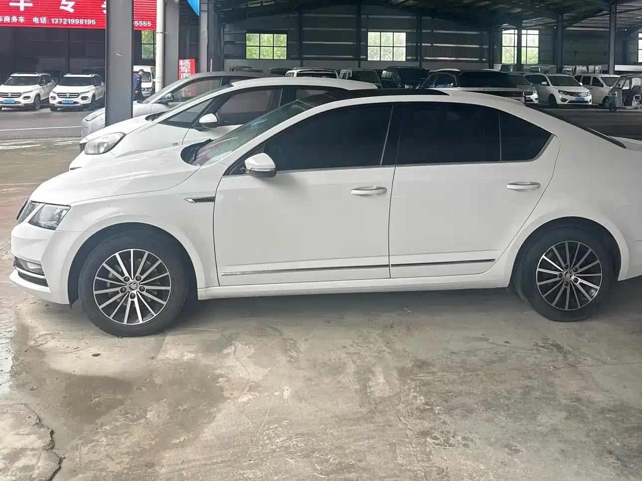 Octavia 2018 TSI230 DSG Luxury Edition — миниатюра 3