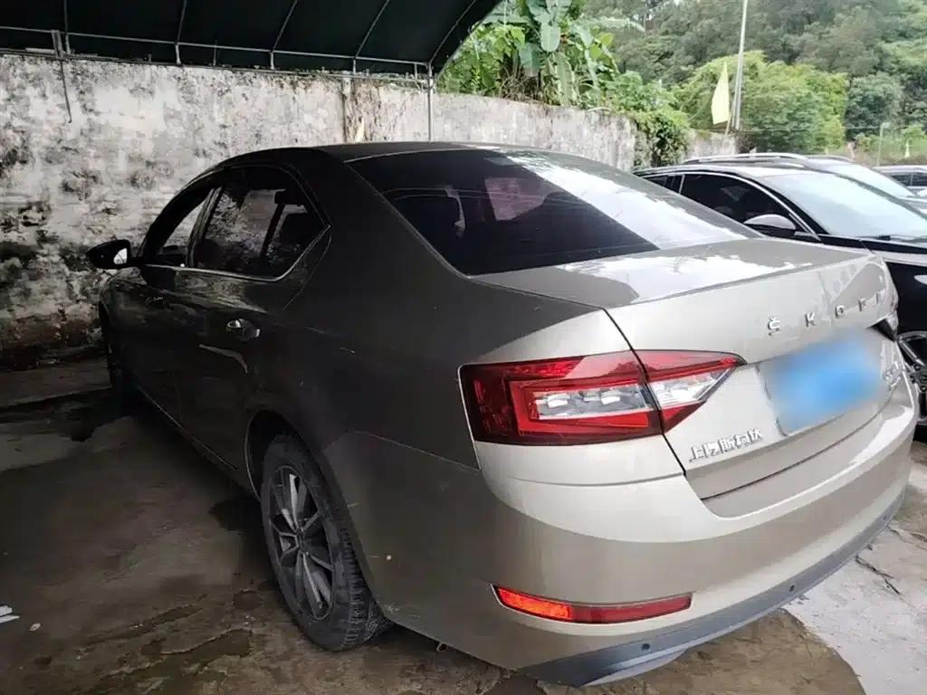Octavia 2019 TSI230 DSG Smart Comfort Edition (China VI Emission Standard) — миниатюра 5