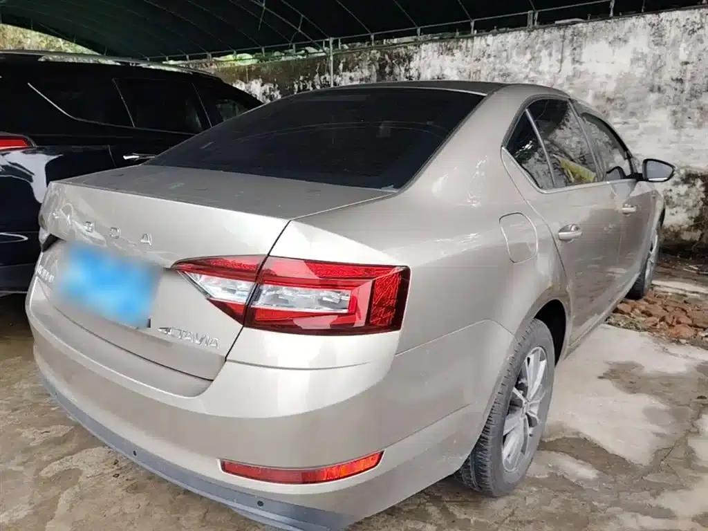 Octavia 2019 TSI230 DSG Smart Comfort Edition (China VI Emission Standard) — миниатюра 7