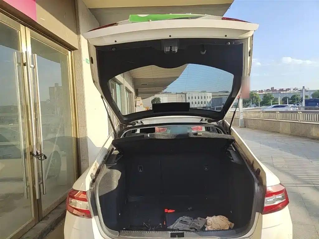 Octavia 2020 1.5L Automatic Smart Luxury Edition — миниатюра 19