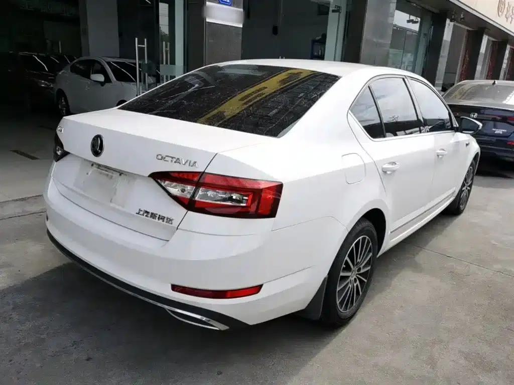 Octavia 2018 1.6L Automatic Luxury Edition — миниатюра 7