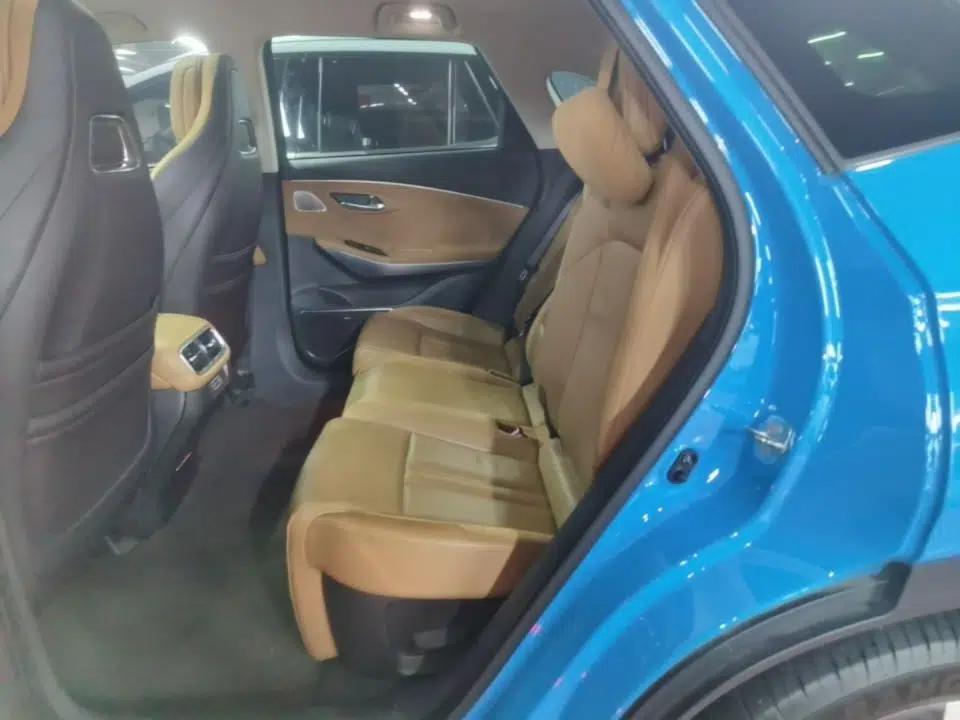 AION LX 2019 80D Max — миниатюра 20