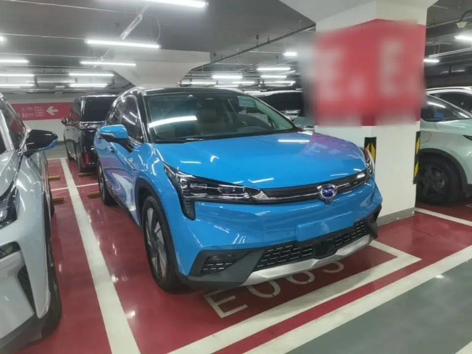 AION LX 2019 80D Max — миниатюра 3