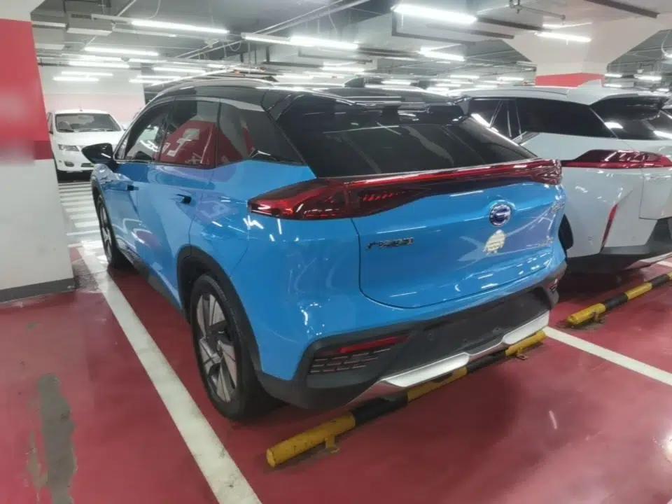 AION LX 2019 80D Max — миниатюра 4