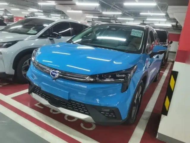 AION LX 2019 80D Max