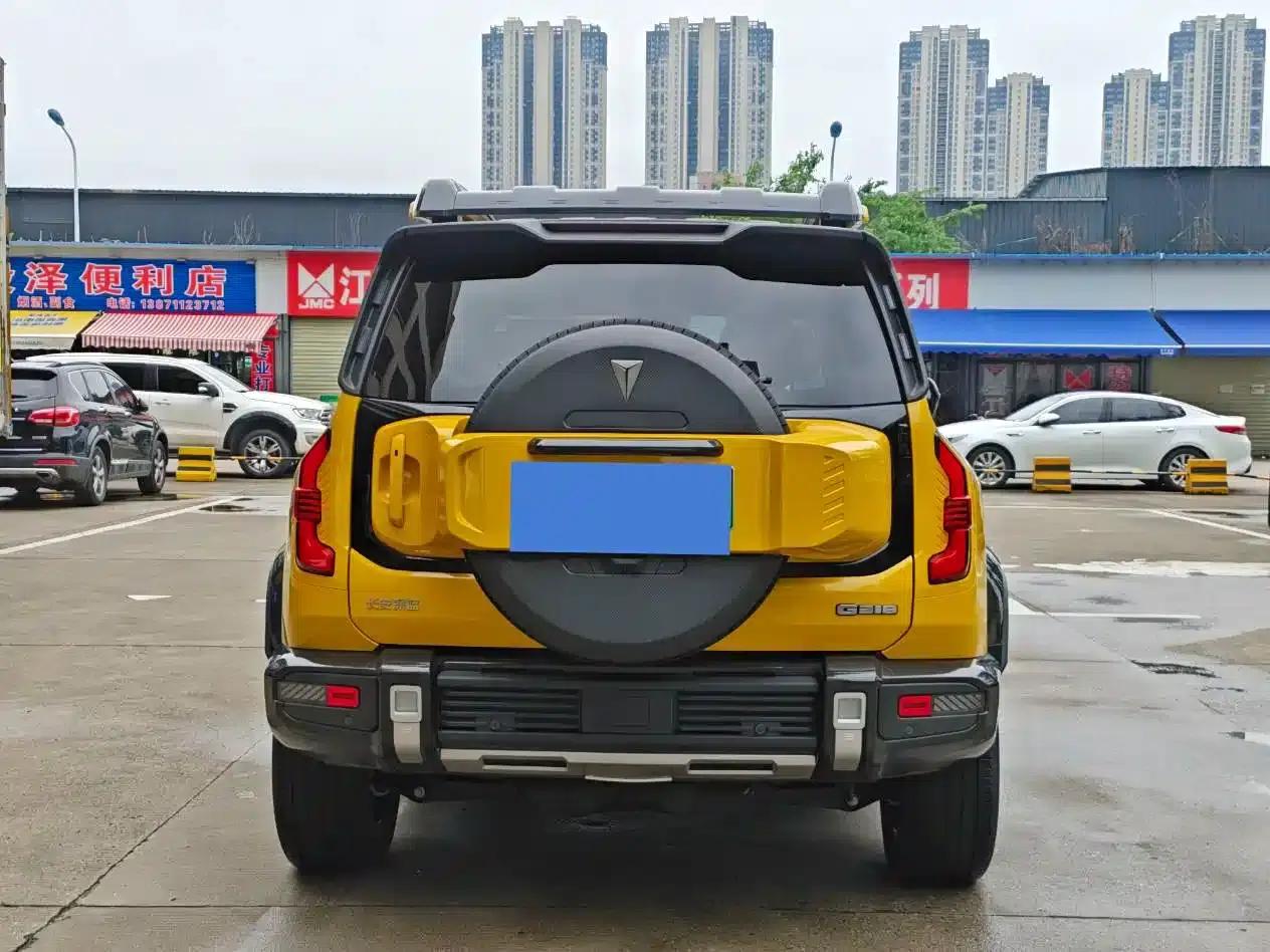 Deep Blue G318 2025 Worry-Free Crossing Edition 4WD Secret Realm Edition — миниатюра 6