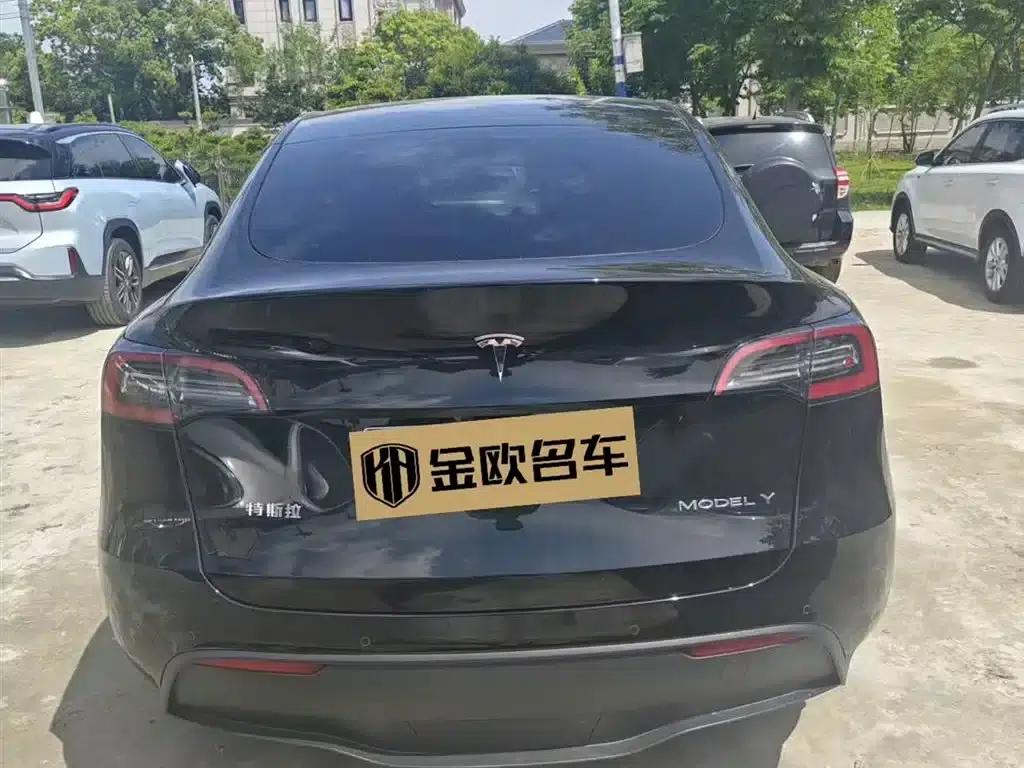 Model Y 2022 Rear-Wheel Drive — миниатюра 3