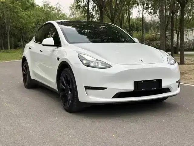 Model Y 2021 Standard Range Rear-Wheel Drive — миниатюра 2