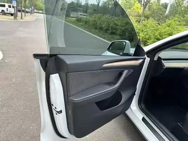 Model Y 2021 Standard Range Rear-Wheel Drive — миниатюра 3
